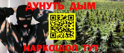 крисы Краснознаменск