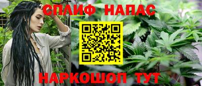крисы Краснознаменск