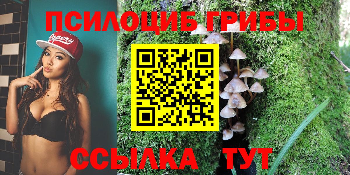Псилоцибиновые грибы Psilocybe Карпинск