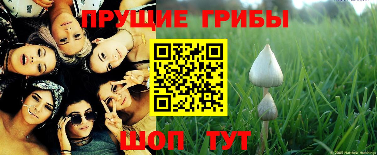 Галлюциногенные грибы прущие грибы  Галлюциногенные грибы мицелий  Карпинск  продажа наркотиков  Вход с VPN 